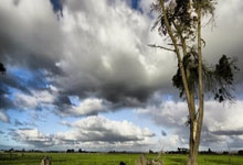 遭遇重伤！罗马诺：热刺中场麦迪逊预计伤缺6-7个月！，罗马vs热刺