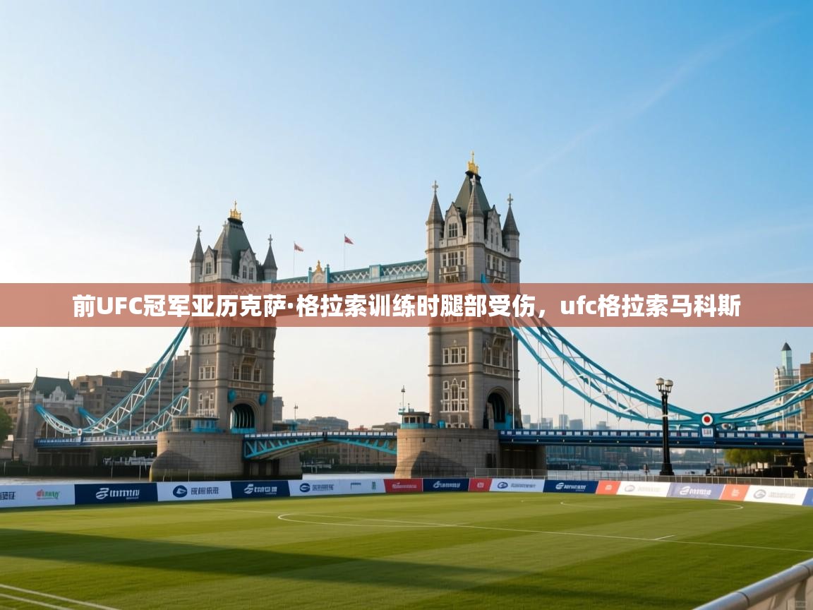 前UFC冠军亚历克萨·格拉索训练时腿部受伤，ufc格拉索马科斯