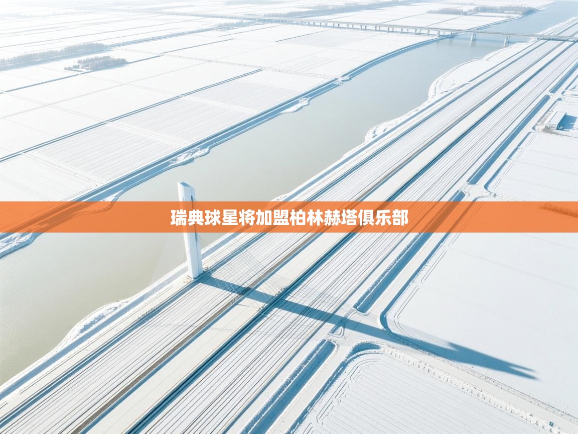 瑞典球星将加盟柏林赫塔俱乐部